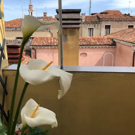 - Ca' D'oro: Bella Casa Con Terrazzi Appartement Venetië